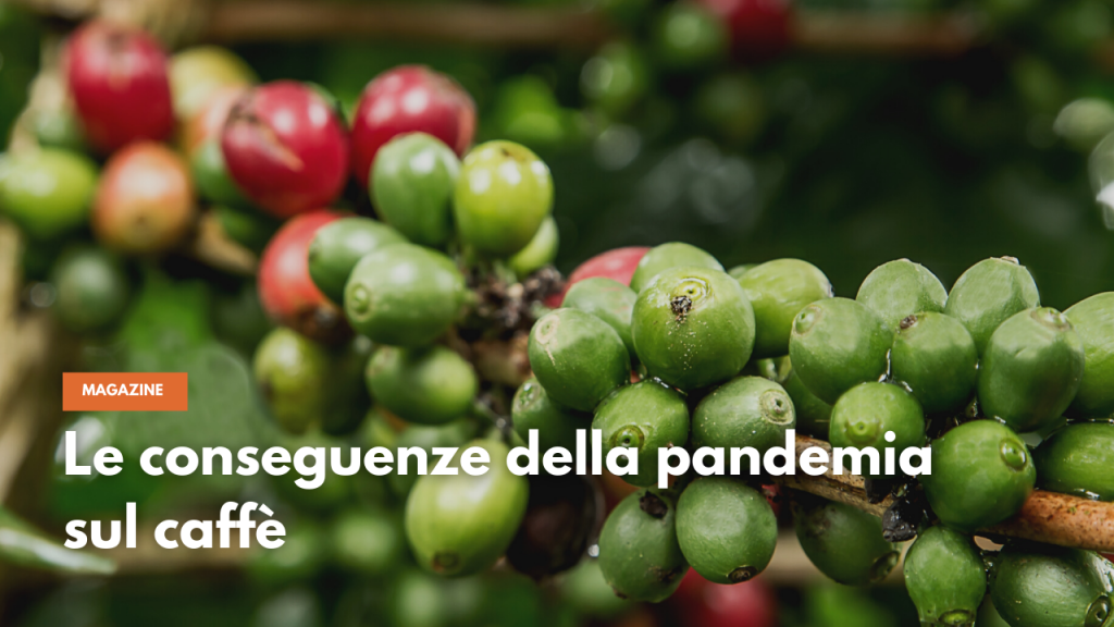 Il caffè nel canale horeca e gdo